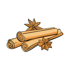 Spicy Cinnamon Sticks and Star Anise. Graphic Print for Product Packaging related to Perfumery, Soaps, Cosmetics, Herbal Medicine, Aromatherapy Essential Oils. Isolated on white background