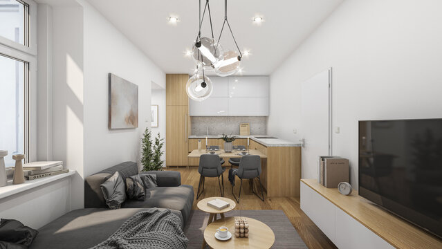 Interior of a modern living room showcase. Modern small flat interior kitchen, living room