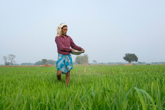 Farmer Spreading fertiliser in the Field