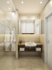 Fototapeta na wymiar Modern bathroom interior with shower and toilet.