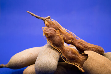 Tamarind in a blue background