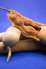 Tamarind in a blue background