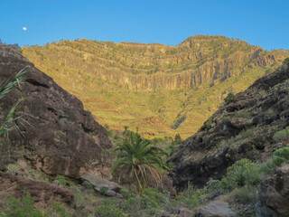 Cresta de la montaña en el barranco de Mogán, isla de Gran Canaria en España. Típico paisaje agreste con profundos barrancos en la isla.