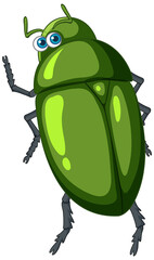 A green beetle cartoon character isolated