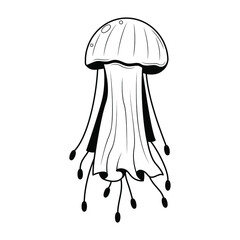 Abstract Black Simple Line Jellyfish Doodle Outline Element Vector Design Style Sketch Isolated On White Background Illustration Nature Ocean WIldlife