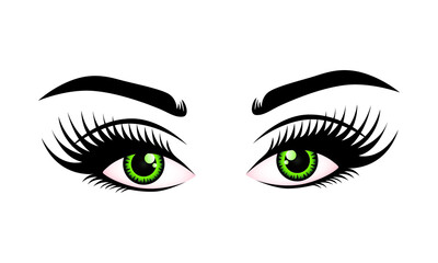 Woman's sexy greenish eyes with perfectly shaped eyebrows and lashes. Intense eyes of girl vector isolated.