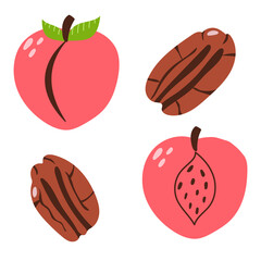 Hand drawn peach and pecan. Flat modern illustration.
