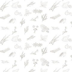 Hand drawn set with herbs and spices. Design elements isolated on white. Cooking icons.