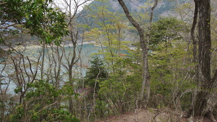 Naklejka premium Spring