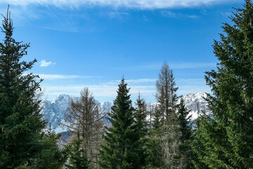Scenic view of snow capped mountain peaks of Karawanks near Sinacher Gupf in Carinthia, Austria. Mount Wertatscha and Hochstuhl (Stol) is visible through dense forest in early spring. Sunny Rosental