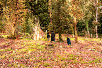 mother with son and daughter in family walk with their backs to camera in the woods