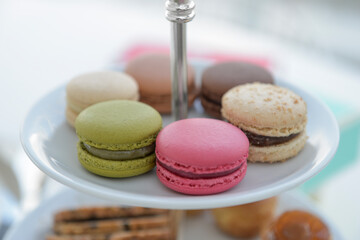 Macaroons on a plate, Sweet Pastel Colored Macarons, White pink and green macaroons on white plate, Closeup of colorful tasty macaroons in plate