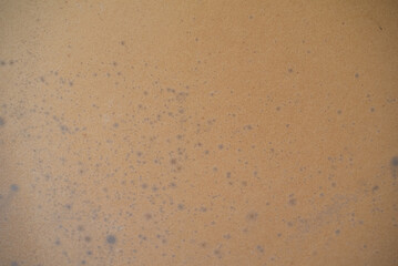 Close-up mold from wall. Formation of black mold due to high humidity. Harm to human health. Methods of mold wrestling.