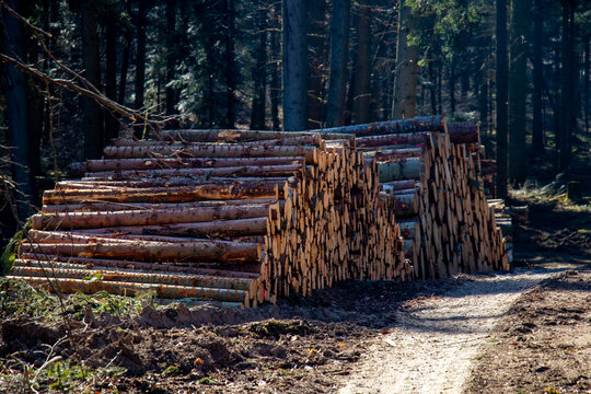Holzpolter