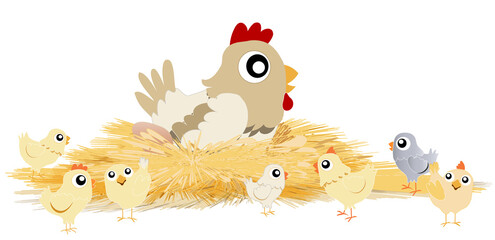 Poule beige dans son nid de paille avec ses poussins