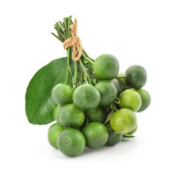 Kumquats or Citrus japonica fruit isolated on white background.