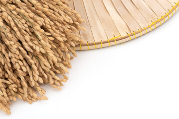 Hat and ear of japanese rice isolated on white background.