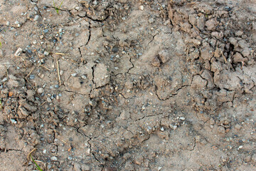 Dry Ground Dirt Texture Background