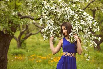 young girl in a long blue dress in a flowering apple garden in spring, against the background of green grass