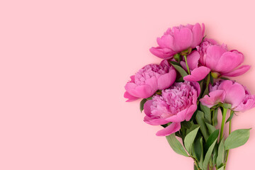Peony flowers bouquet on a pink pastel background. Floral composition with copyspace.