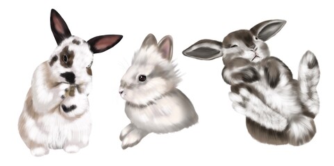 A set of realistic bunnies. Watercolor illustration of colored rabbits on a white background