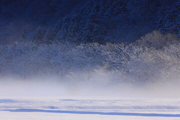 岩手県北上市　冬の北上川の風景