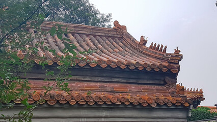 A close up on the rooftop of a pavilion in Forbidden City in Beijing, China. The roof has orange tiles and decorative small figures of guardians at the edges. Overcast. A few tree branches on the side