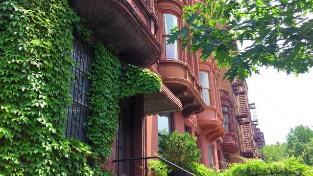 Gorgeous Ivy Covered Brownstone in Brooklyn, NYC
