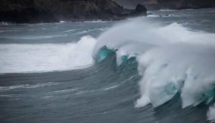 wave tenerife