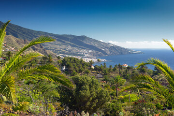 Beautiful view of a palm tree landscape in Breña Baja town with Santa Cruz de La Palma in...
