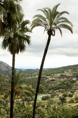 Fototapeta na wymiar Beautiful landscape of the valley of Guadalest