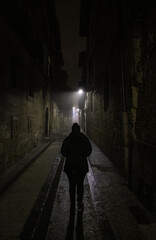 Fototapeta na wymiar Woman in dark street