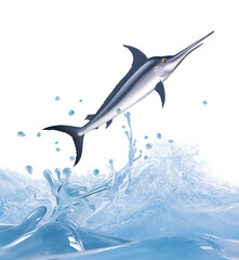 poisson, espadon , animal, isolé, bulle, congelé, sauter, frais, glacé, froid, pêche, eau, aliment, océan, attraper, blanc, eau douce, nature, fleuve, ailette, aquarium, lac, queue, écaillé, brut, bou