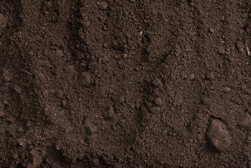 Black land for plant background. Top view.