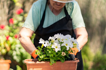 An 80 year old woman preparing her garden.