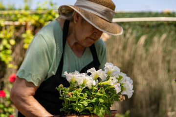 An 80 year old woman preparing her garden.