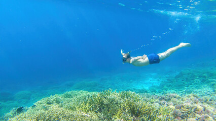 A man in masker and fins snorkelling in a vivid coral reef in Komodo National Park, Indonesia. The man is diving to see the reef from closer. Crystal clear water. Air bubbles around him. Free diving.