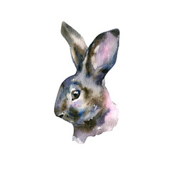 Happy easter watercolor bunny with ears up. Isolated illustration