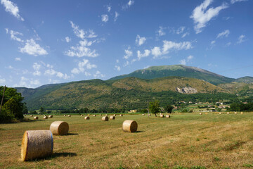 Summer landscape in Frosinone province near Cassino, Lazio, Italy - obrazy, fototapety, plakaty