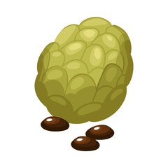 Phillipine Graviola Isometric Composition