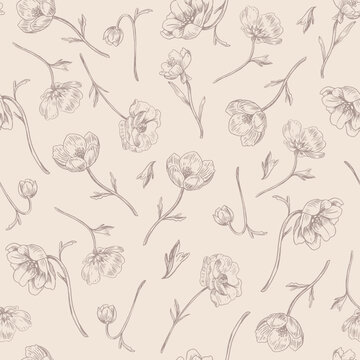 Poppies. Vector seamless background in vintage style. Plant pattern. Botanical drawing.