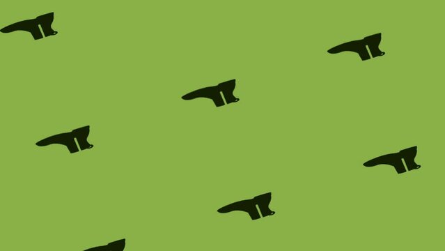 animation of boot with zipper icon spinning on green background