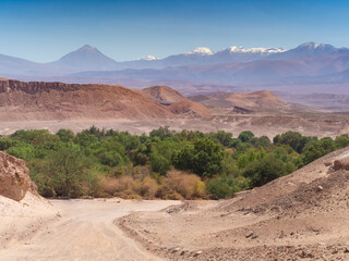 Desert landscapes and Oasis near the Valley of the Moon (Valle de la Luna), San Pedro de Atacama, Chile. 