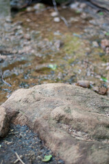 Large rock along a stream intersecting the hiking path