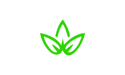 green leaf icon