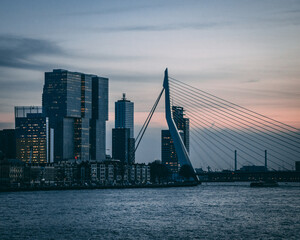 bridge over the river