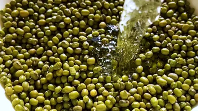 cooking and sprouting mung beans from start to dish there are five videos