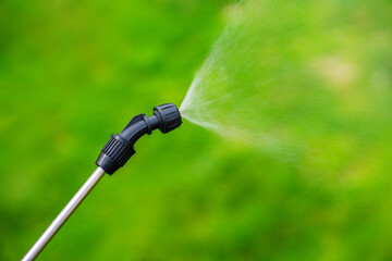 Farmer spraying vegetable green plants in the garden with herbic