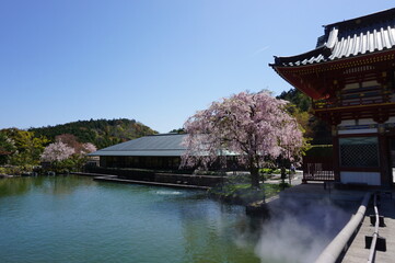 Scenery of Katsuo-ji Temple in spring, Minoo City, Osaka Prefecture, Japan