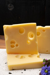 Swiss cheese collection, yellow emmentaler cheese with round holes